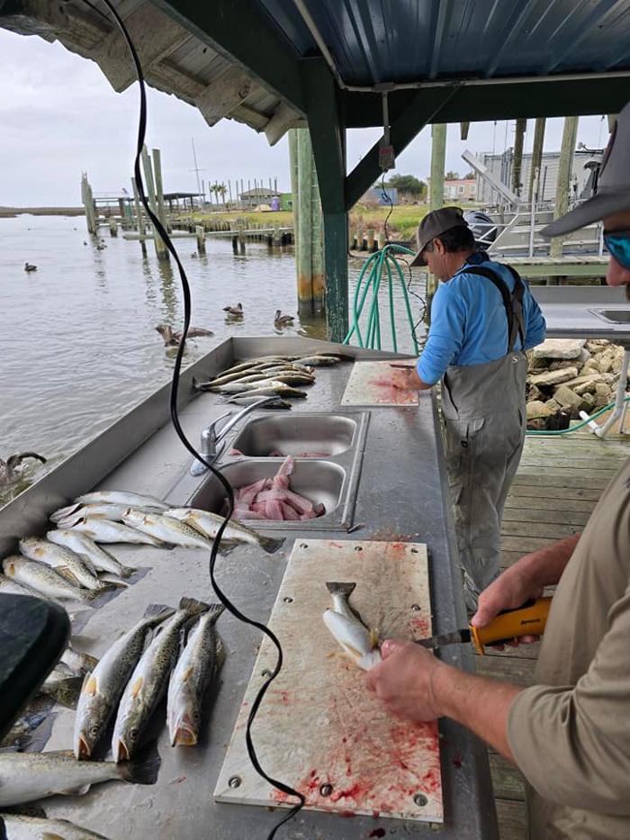 D&N Economy Plumbing, LLC Image