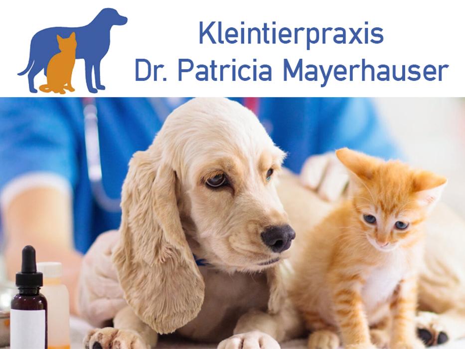Kleintierpraxis im Gewerbehof Dr. P. Mayerhauser, Unterfeldweg in Augsburg