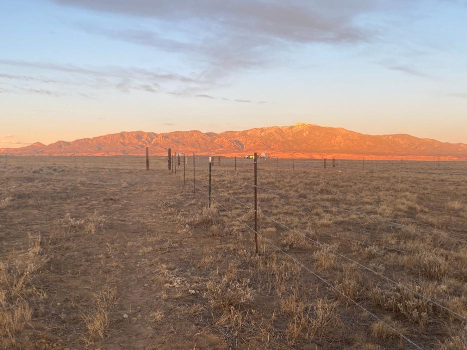 No Moore Pests - Pueblo, CO