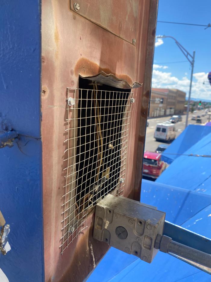 No Moore Pests - Pueblo, CO