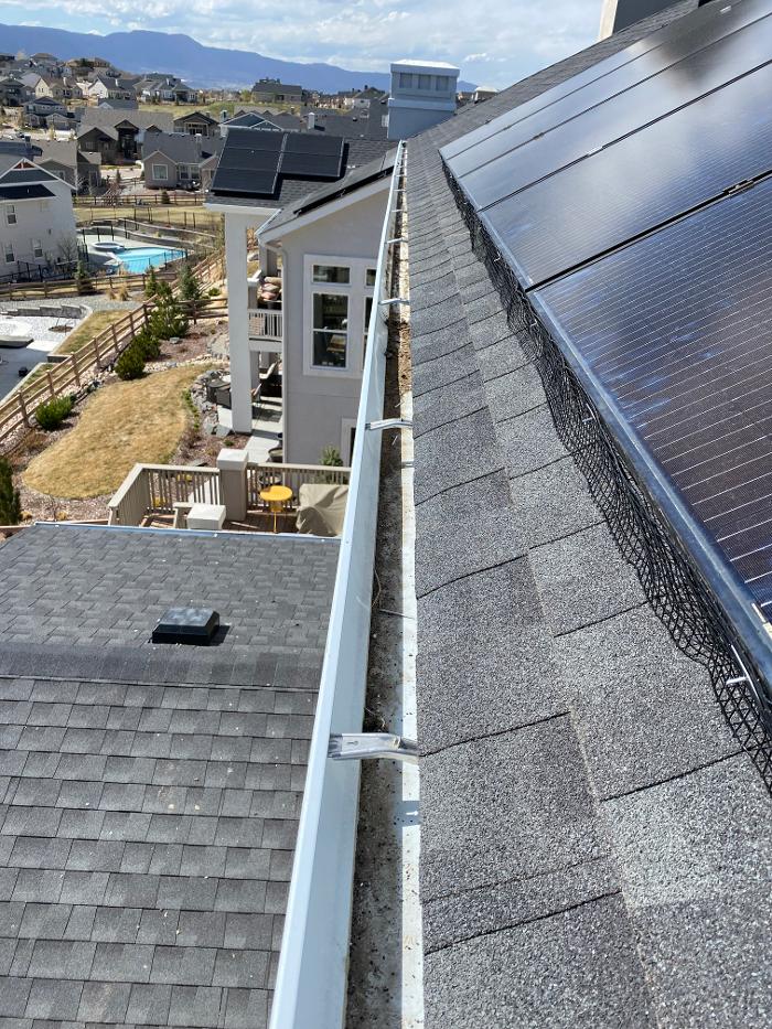 No Moore Pests - Pueblo, CO