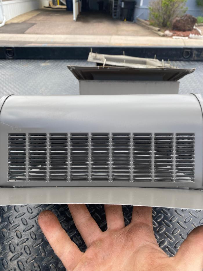 No Moore Pests - Pueblo, CO