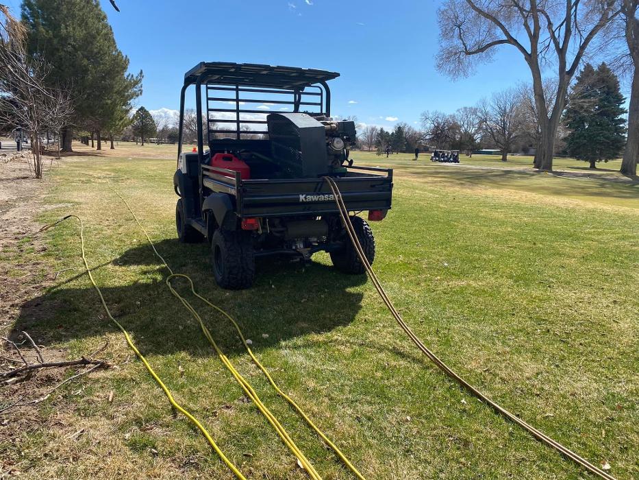 No Moore Pests - Pueblo, CO