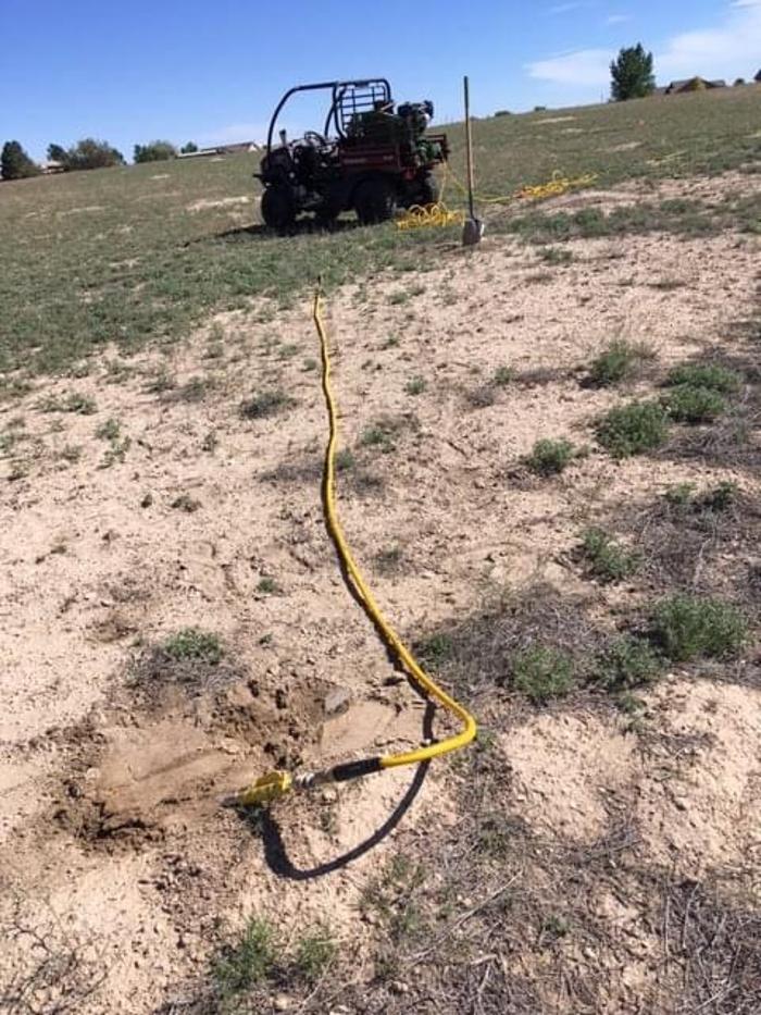 No Moore Pests - Pueblo, CO