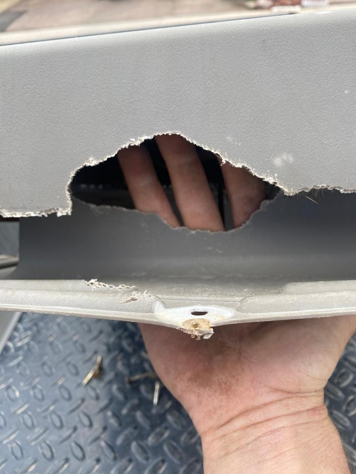 No Moore Pests - Pueblo, CO