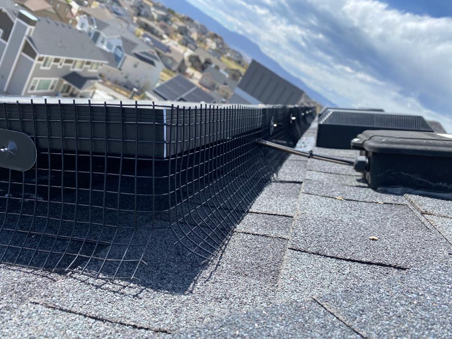 No Moore Pests - Pueblo, CO