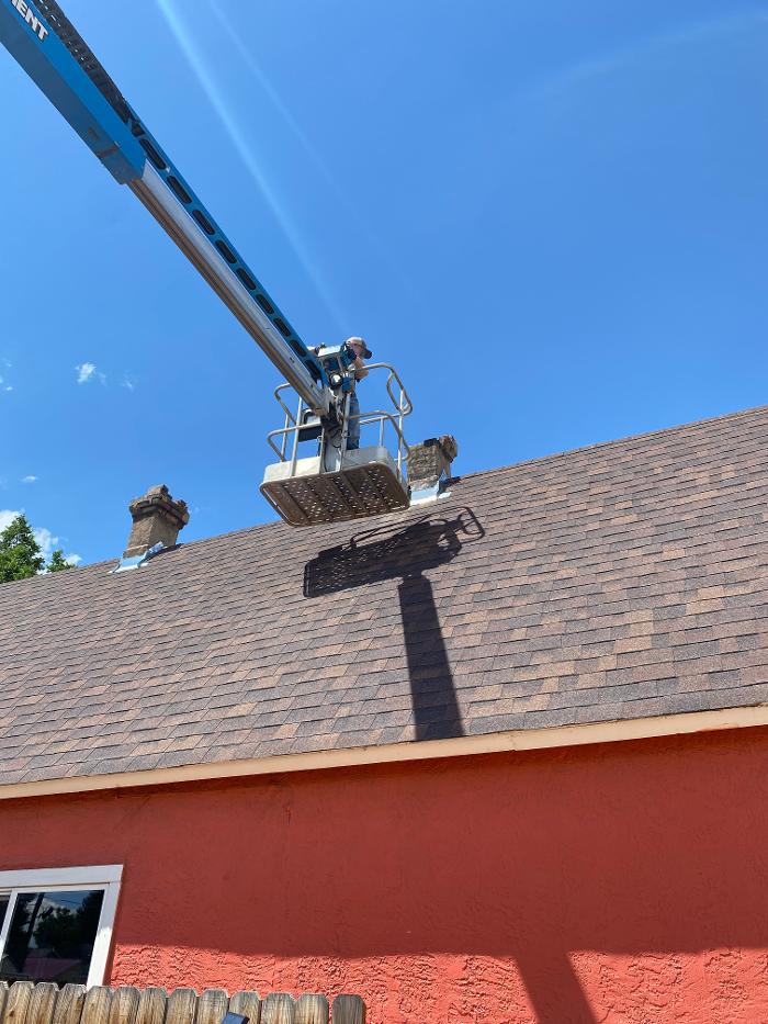 No Moore Pests - Pueblo, CO