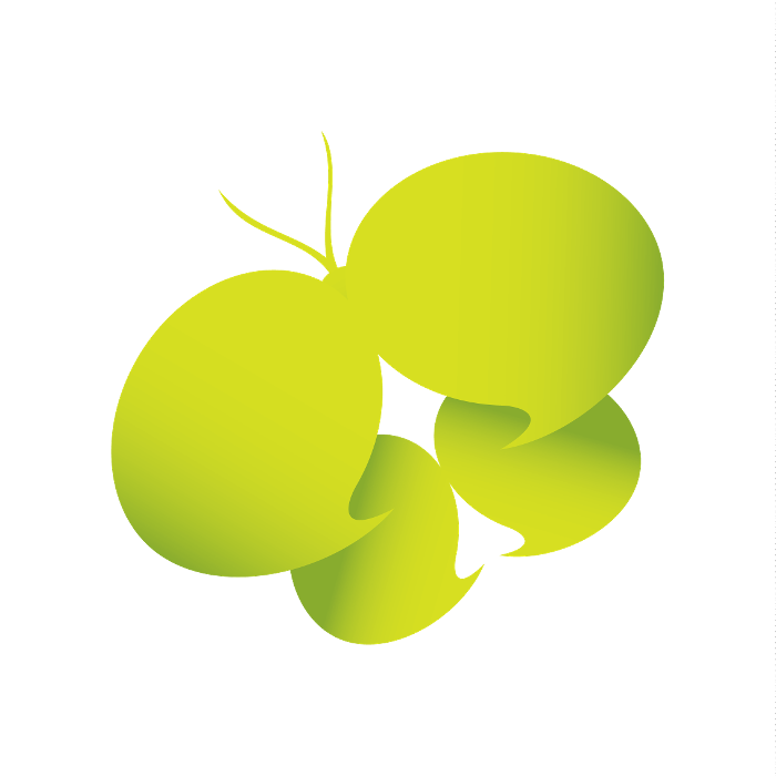 Social Butterfly Marketing Pty Ltd