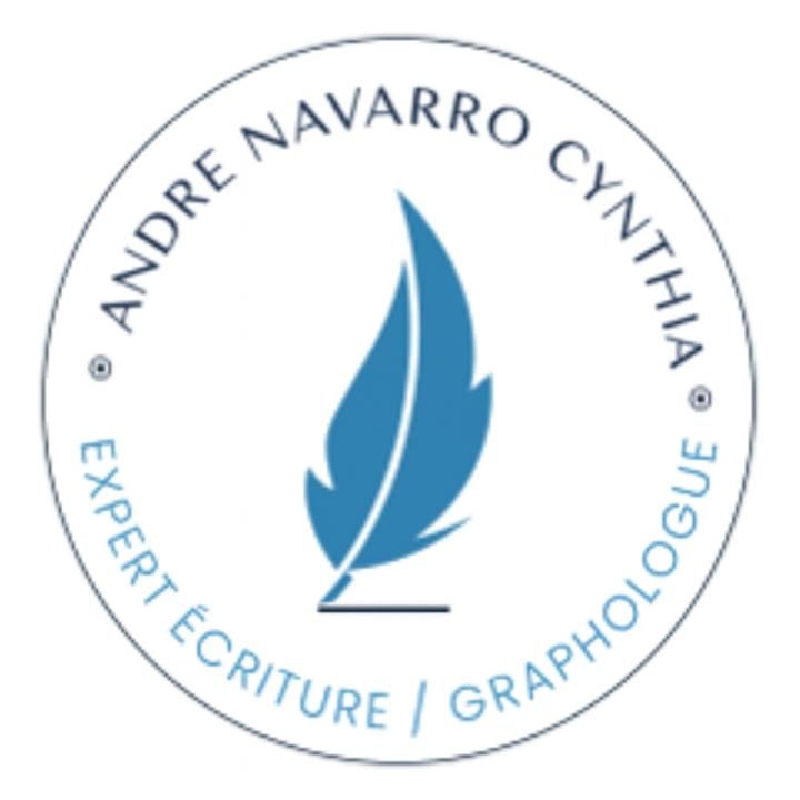 Andre Navarro Conseil juridique et Justice