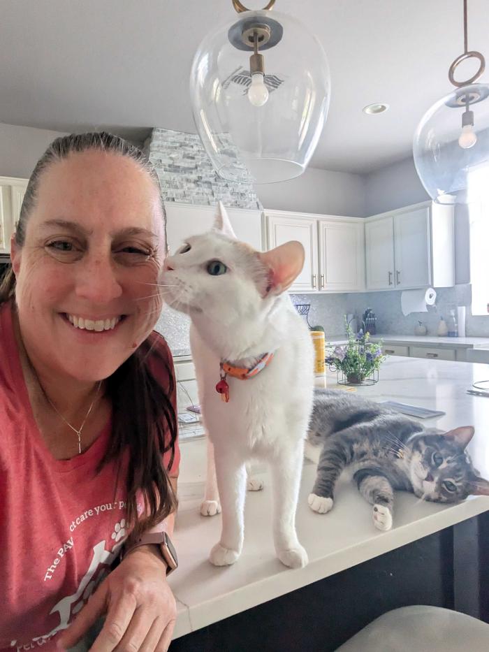 Pawfect Pet Sitter - New River, AZ