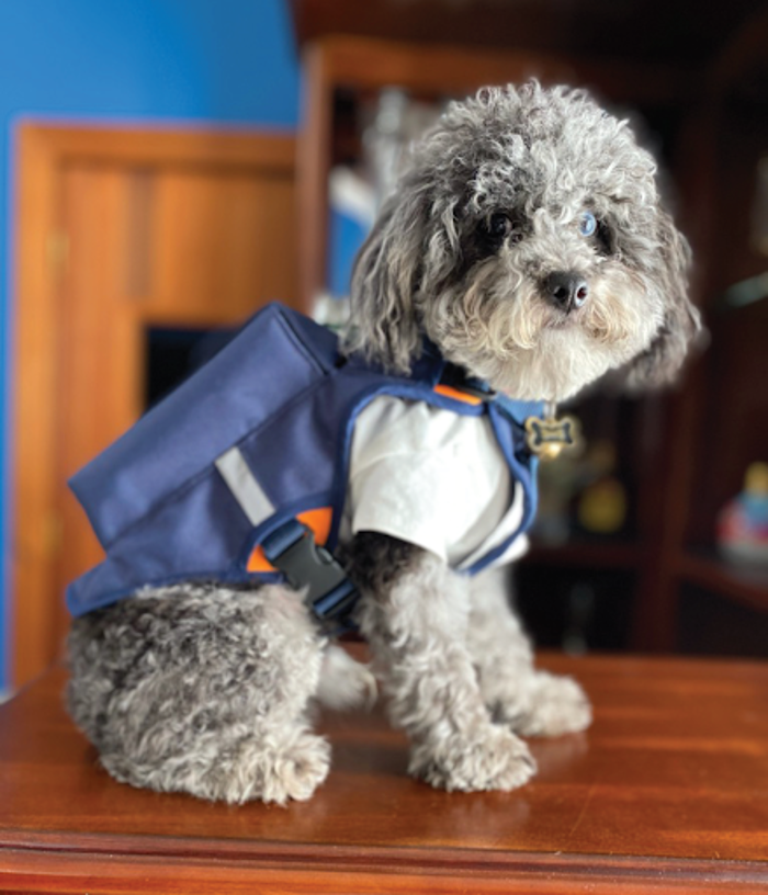 Beaut Outerwear LLC - Stamford, CT