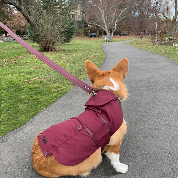 Beaut Outerwear LLC - Stamford, CT