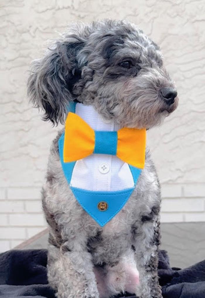 Beaut Outerwear LLC - Stamford, CT