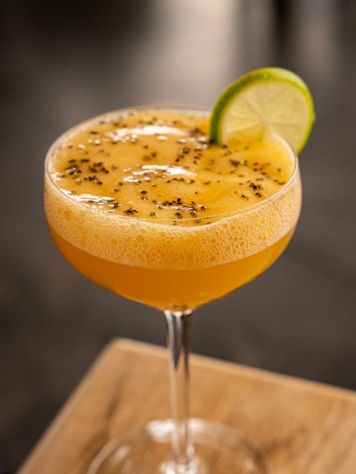 Escondido Santa Fe - Santa Fe, NM