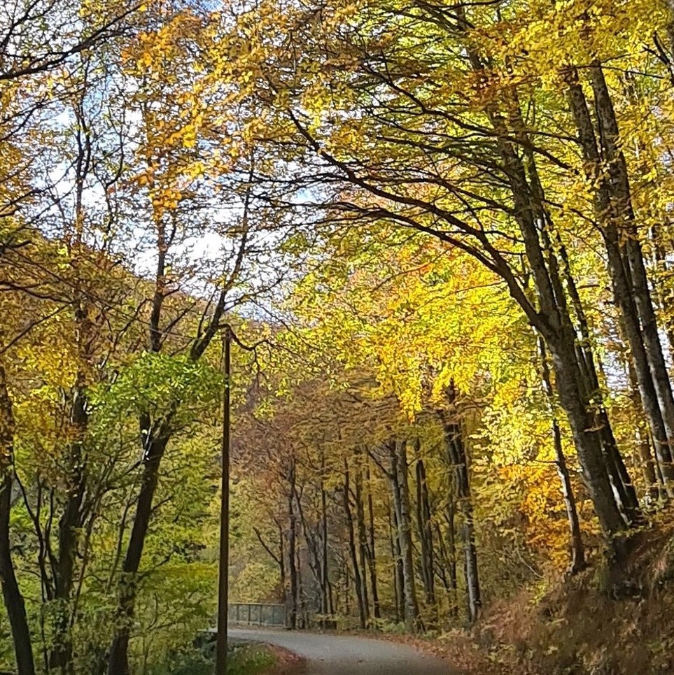 extérieur Hôtel L'Etoile Aéroport-A61