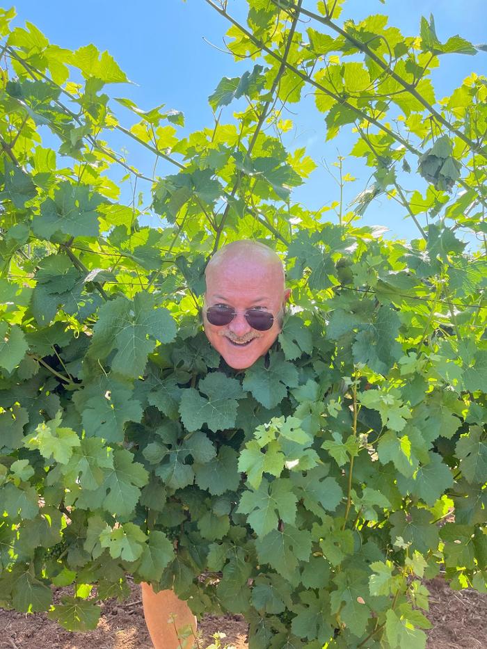 Fullerton Wines - Portland, OR