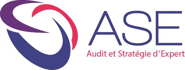 ASE - AUDIT ET STRATEGIE D'EXPERT Expert