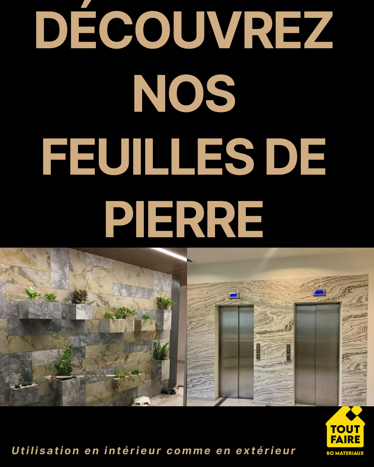 galerie image