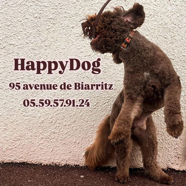 Happy Dog