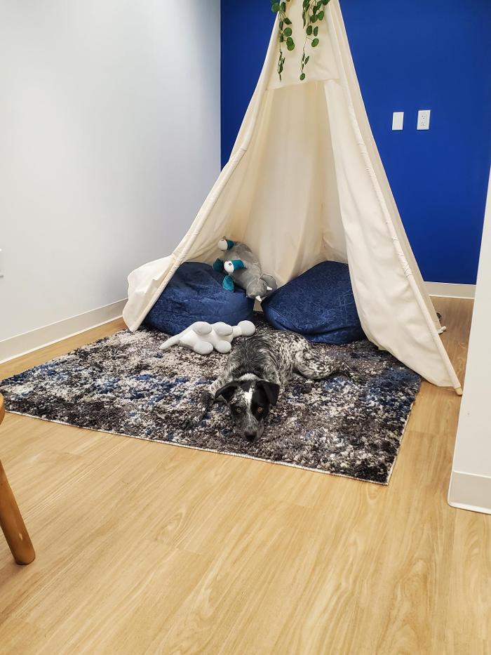 Discover Dental - Pediatric Dentistry - West Nyack, NY