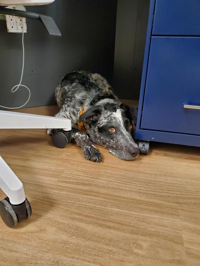 Discover Dental - Pediatric Dentistry - West Nyack, NY