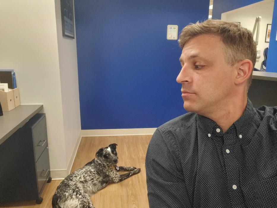 Discover Dental - Pediatric Dentistry - West Nyack, NY