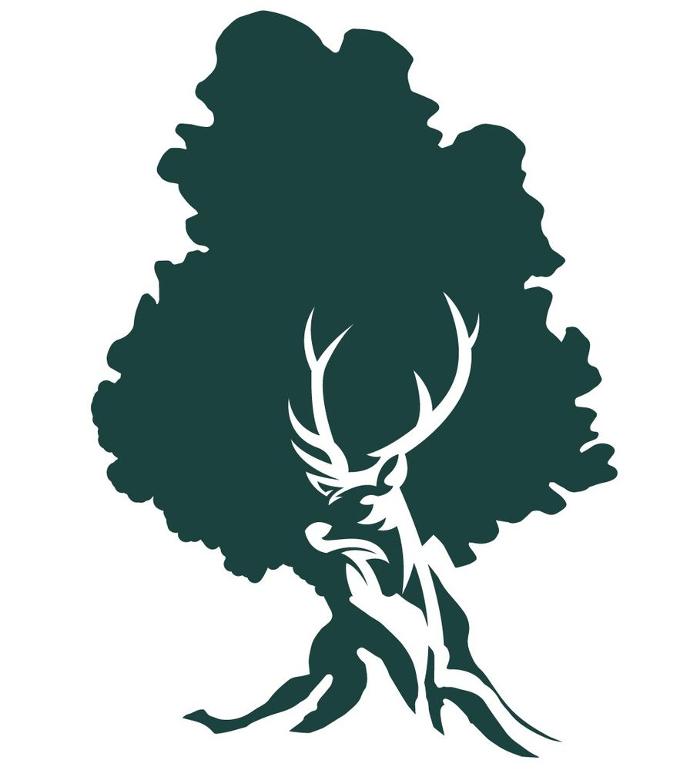 Evergreen CPAs Image