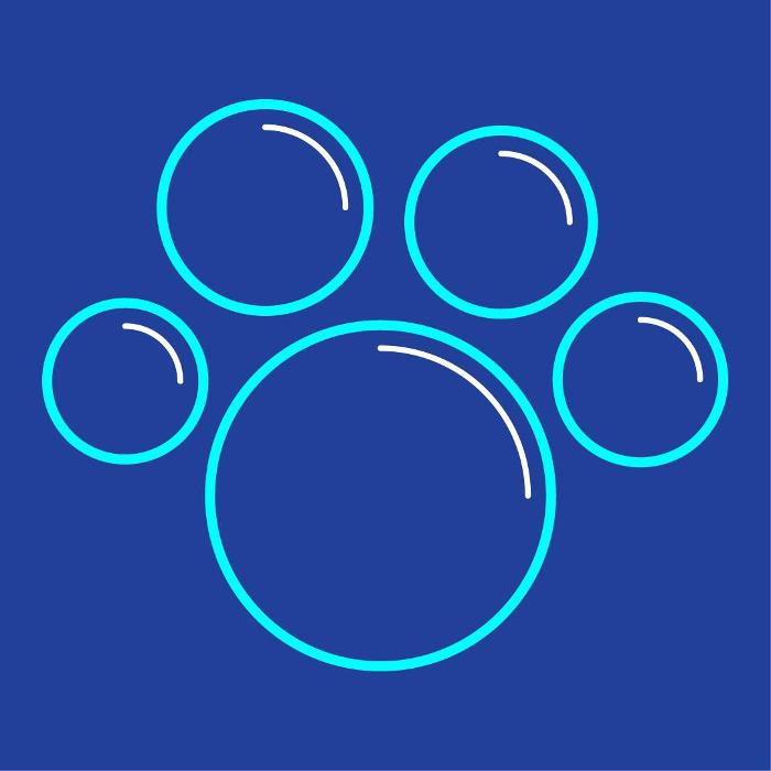 Spaw N Paw Professional Grooming - Spicewood, TX