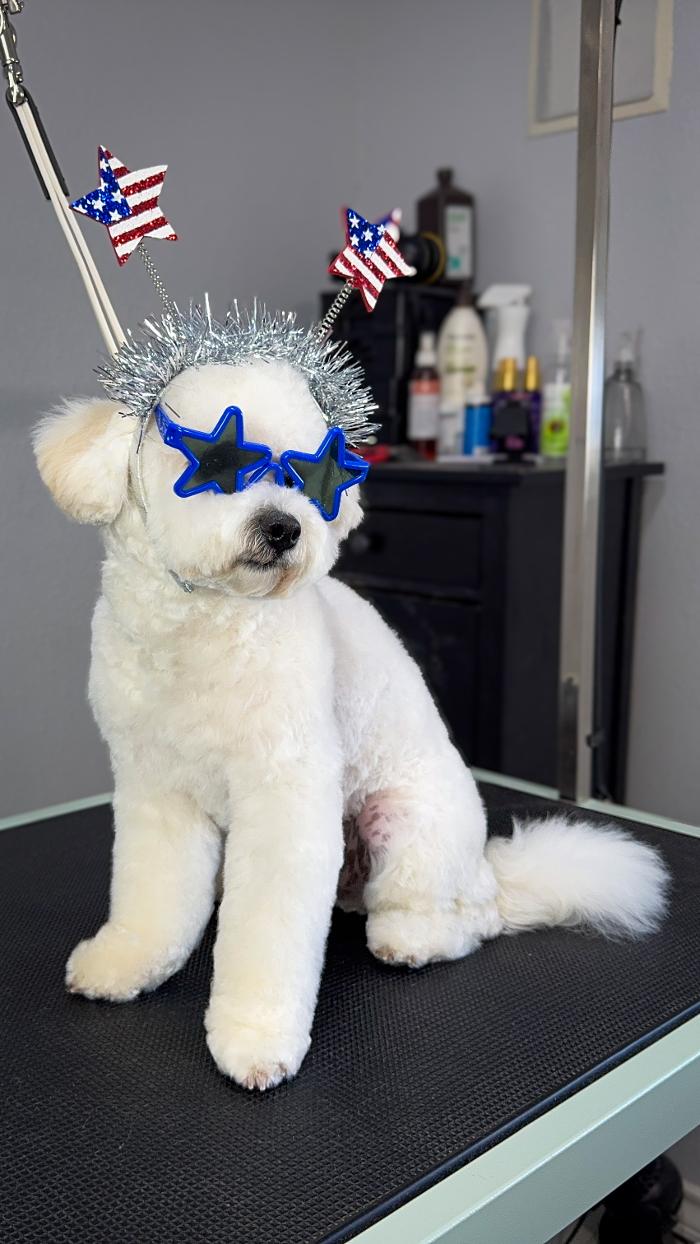 Spaw N Paw Professional Grooming - Spicewood, TX