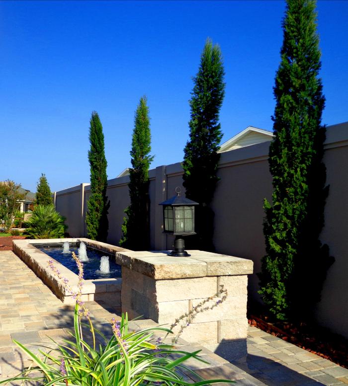 Village Palms Landscaping Image