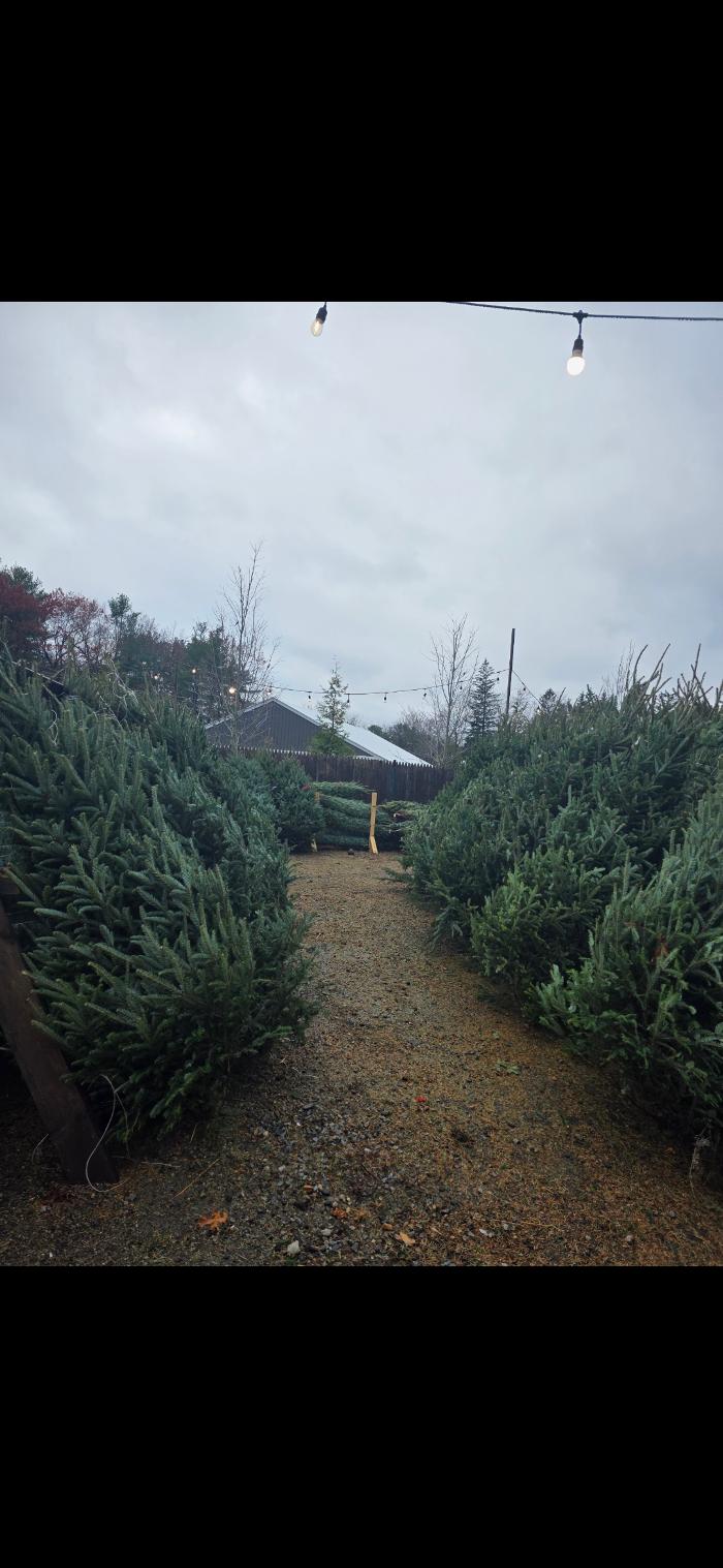 Samantha's Gardens Image