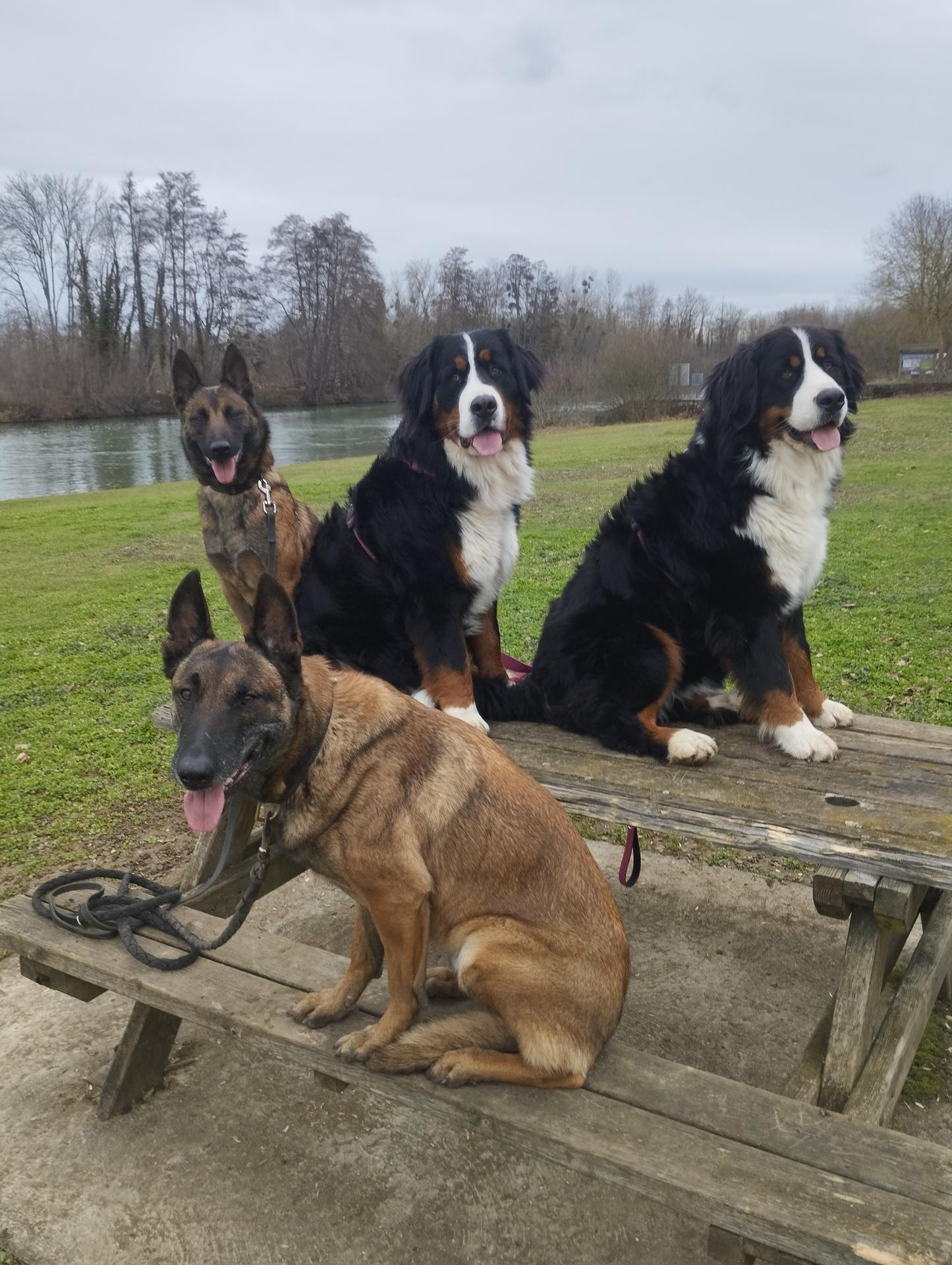 galerie image galerie image