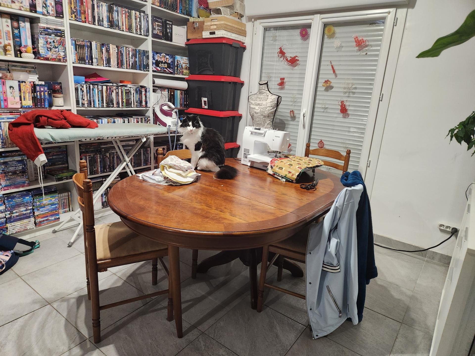 galerie image