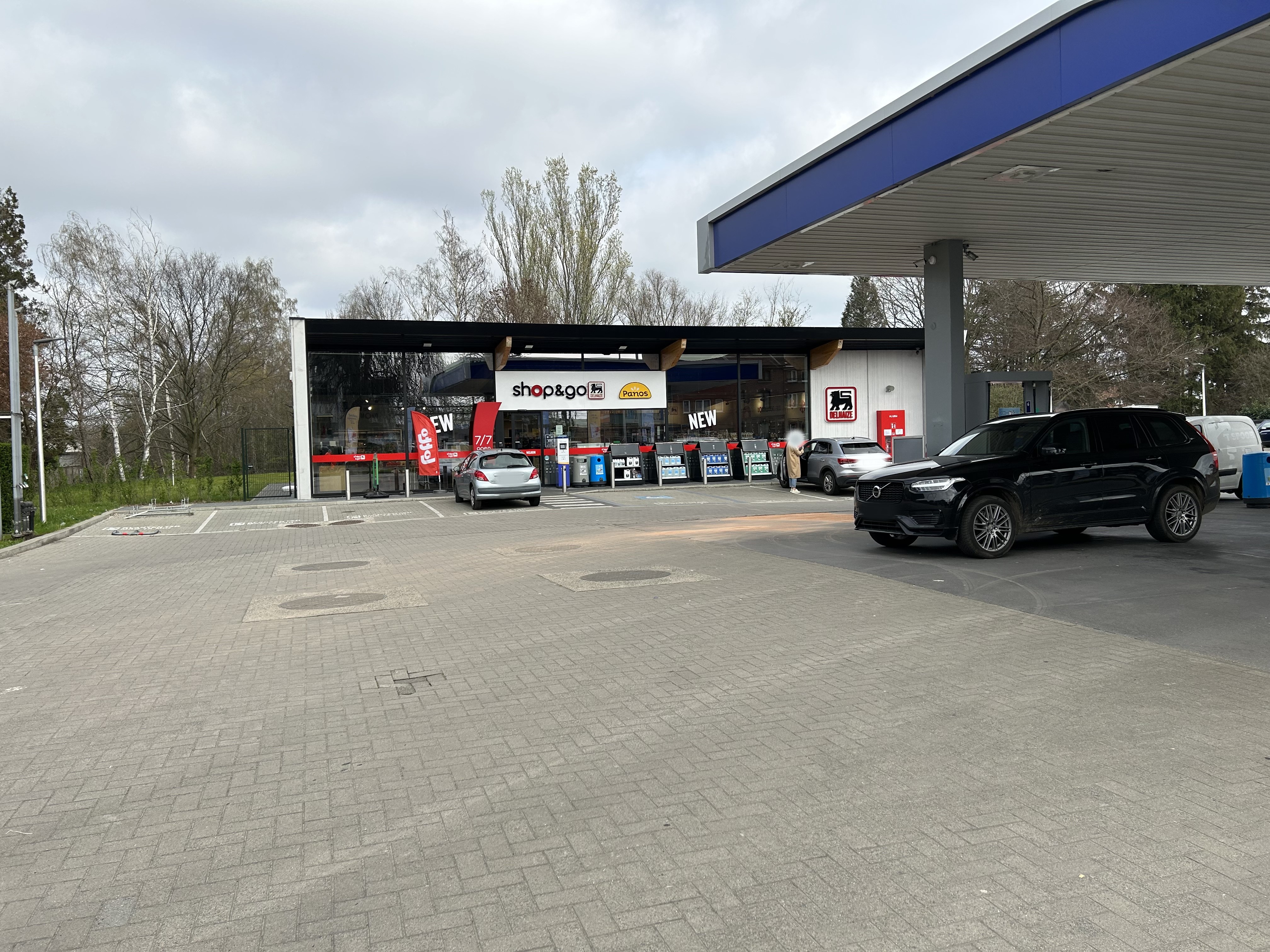 Miniature de la galerie