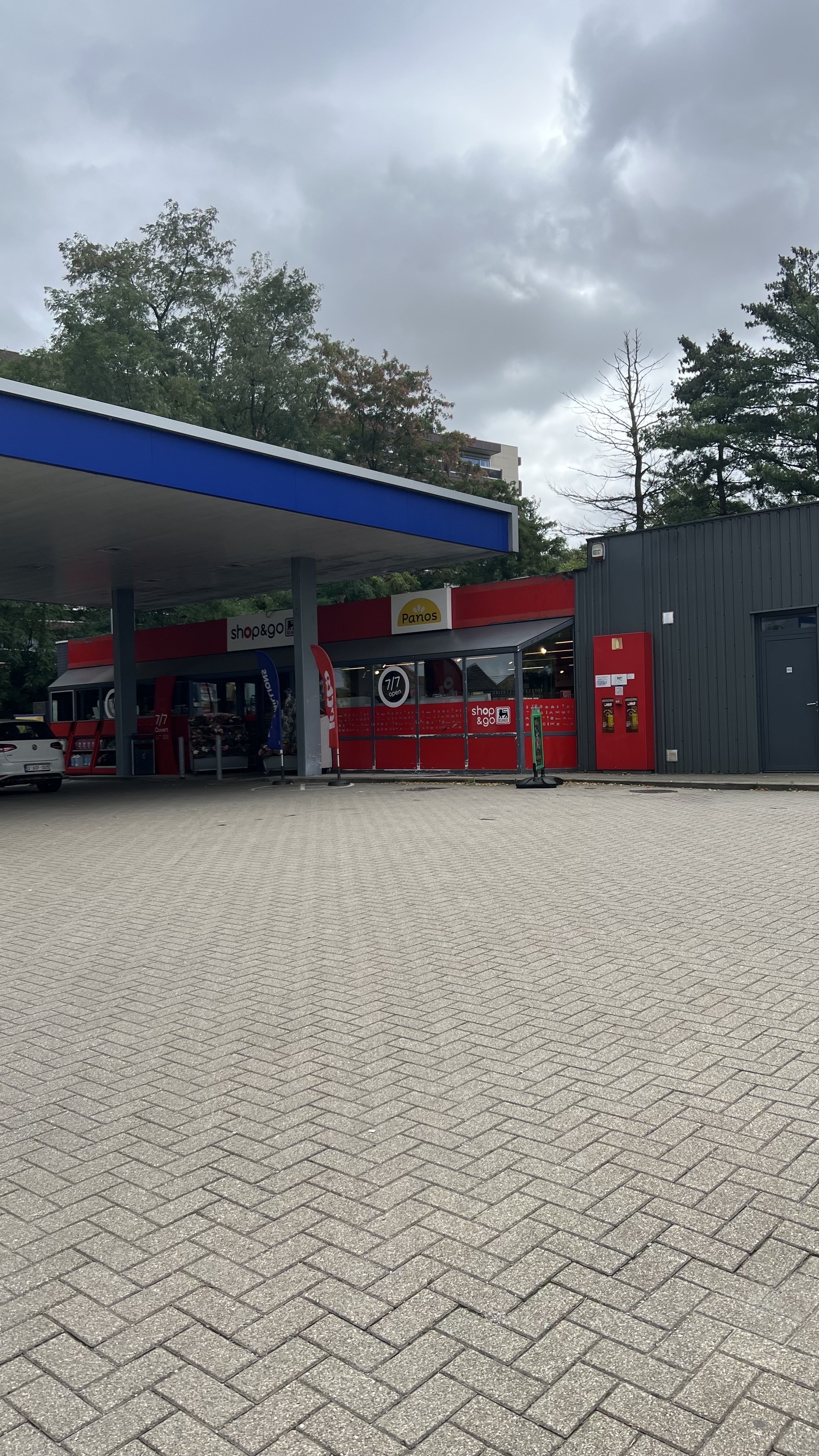 Miniature de la galerie