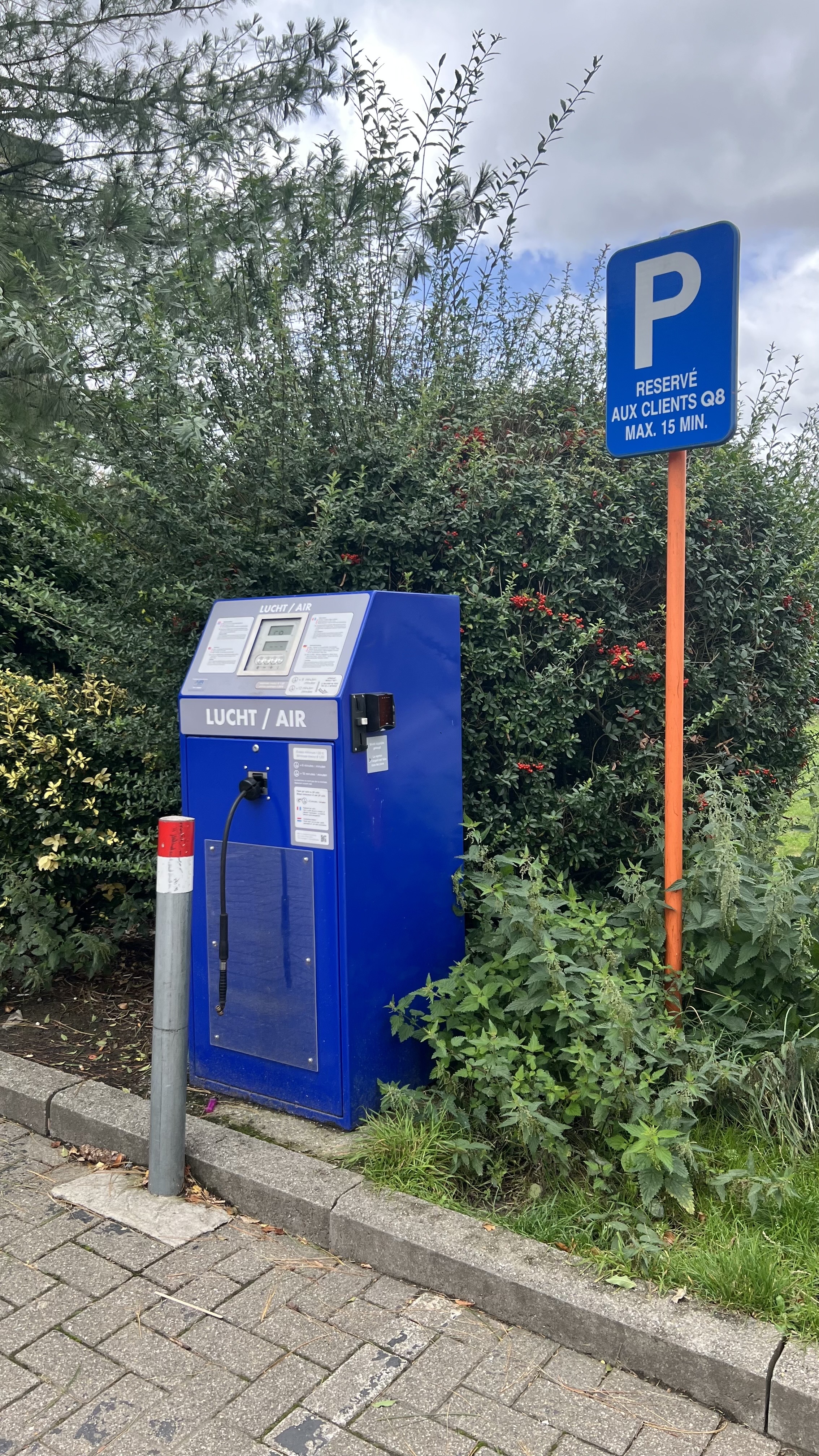 Miniature de la galerie