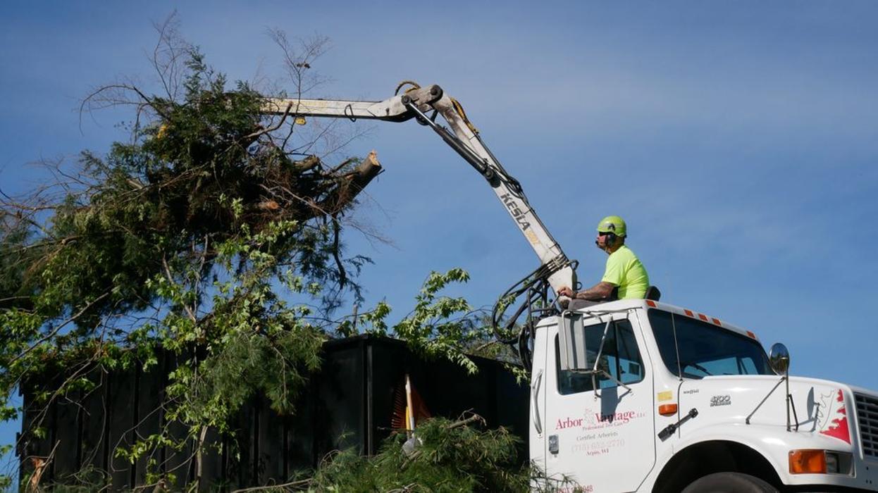 ArborVantage Tree Care - Milladore, WI