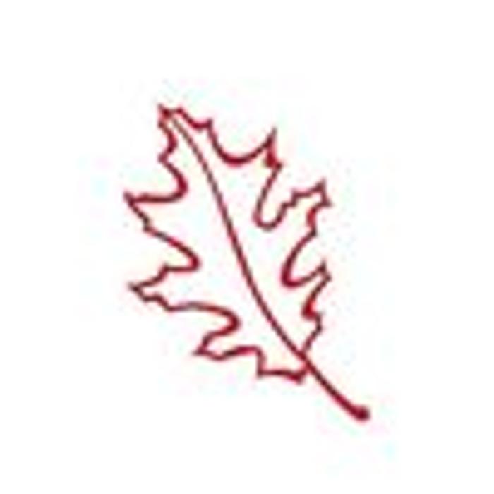 ArborVantage Tree Care - Milladore, WI