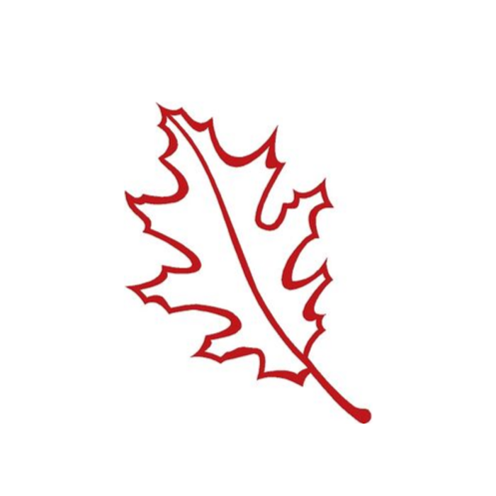 ArborVantage Tree Care - Milladore, WI