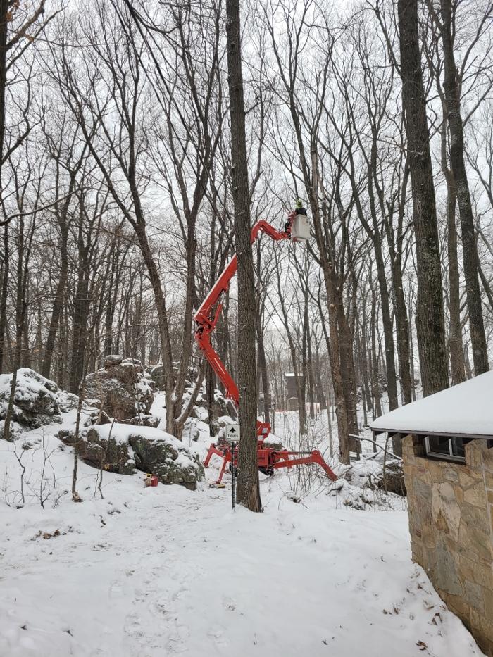 ArborVantage Tree Care - Milladore, WI