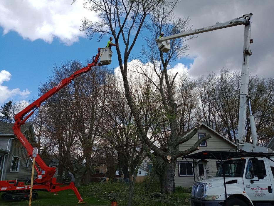 ArborVantage Tree Care - Milladore, WI