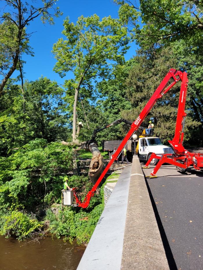 ArborVantage Tree Care - Milladore, WI