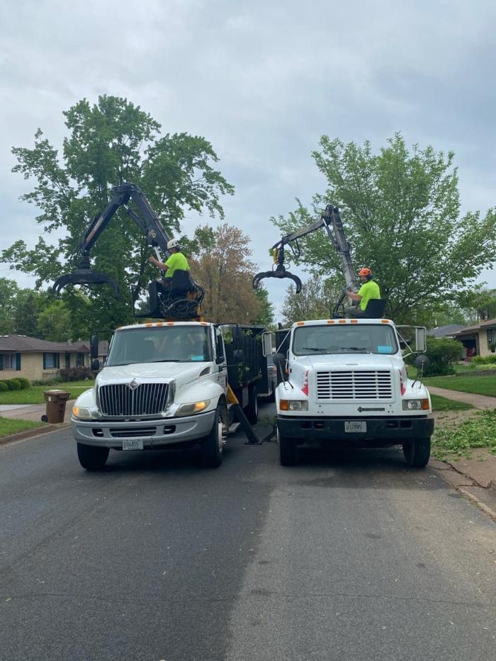 ArborVantage Tree Care - Milladore, WI