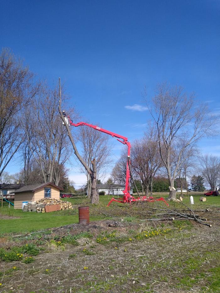 ArborVantage Tree Care - Milladore, WI