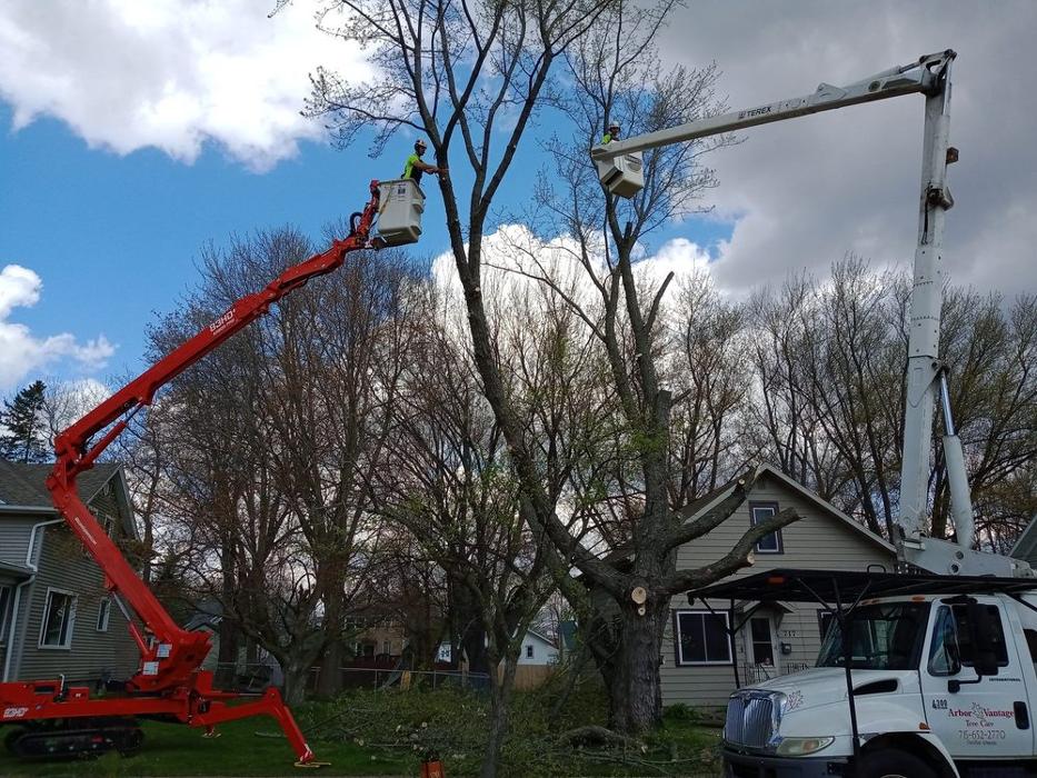 ArborVantage Tree Care - Milladore, WI