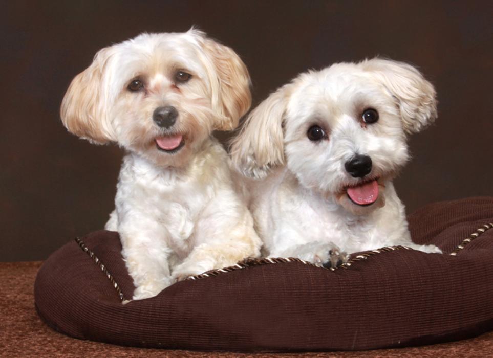 Patrick Nau Photography Image