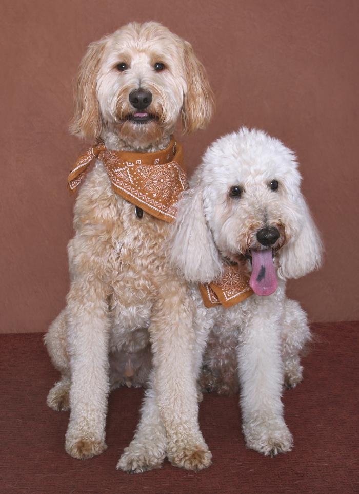 Patrick Nau Photography Image