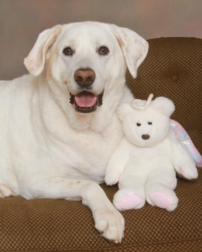 Patrick Nau Photography Image