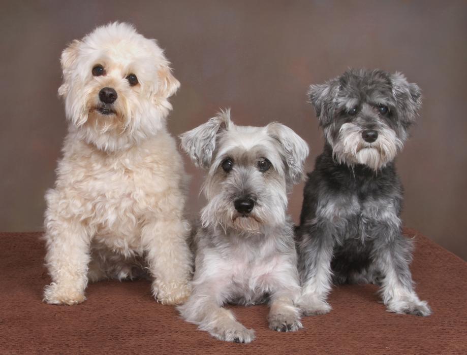 Patrick Nau Photography Image