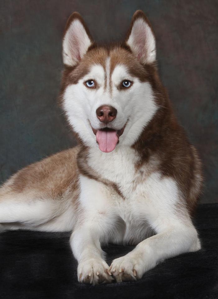 Patrick Nau Photography Image